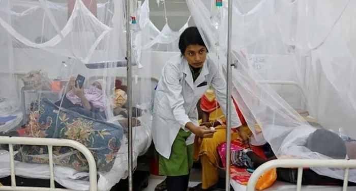 راولپنڈی میں ڈینگی کی شدت میں اضافہ، 58 نئے کیسز رپورٹ