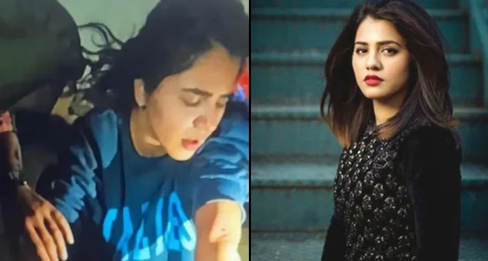 دیوسائی نیشنل پارک میں ریچھ کا حملہ: گلوکارہ قرۃ العین بلوچ زخمی، حالت تسلی بخش